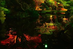 慈眼寺ライトアップ