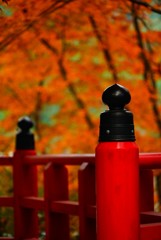 西山興隆寺の赤