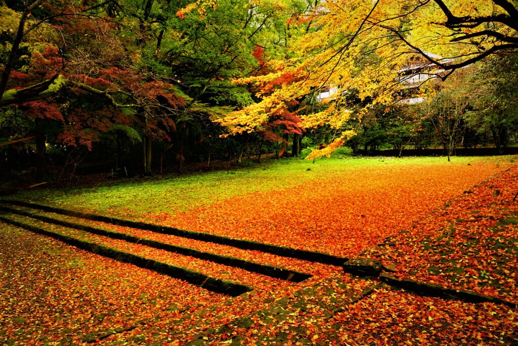 瑞応寺グラデーション