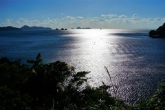 愛南町三ツ畑田島