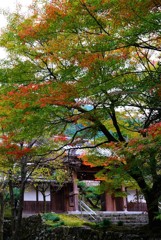 新居浜瑞応寺