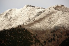 四国の大永山も雪化粧