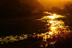 表川の夕日