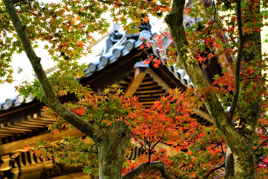 もう少し如法寺