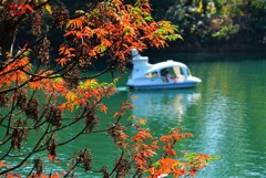通谷池紅葉こどもの城スワンボート