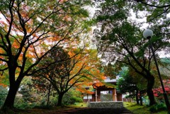 瑞応寺正面