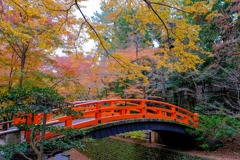 定番だけどやはり画になる朱い橋 - 北野天満宮