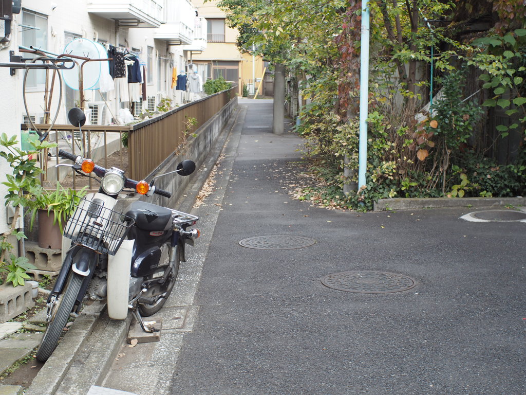 ワイルドなカブ　（そもそも停め方がすごい）