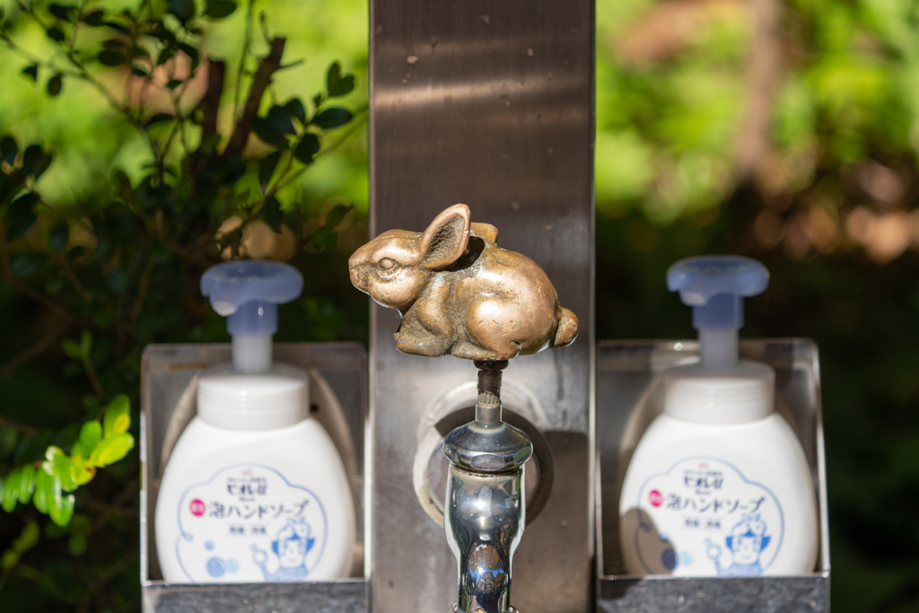手洗いウサギ