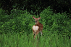 どこ撮ってるのよ！