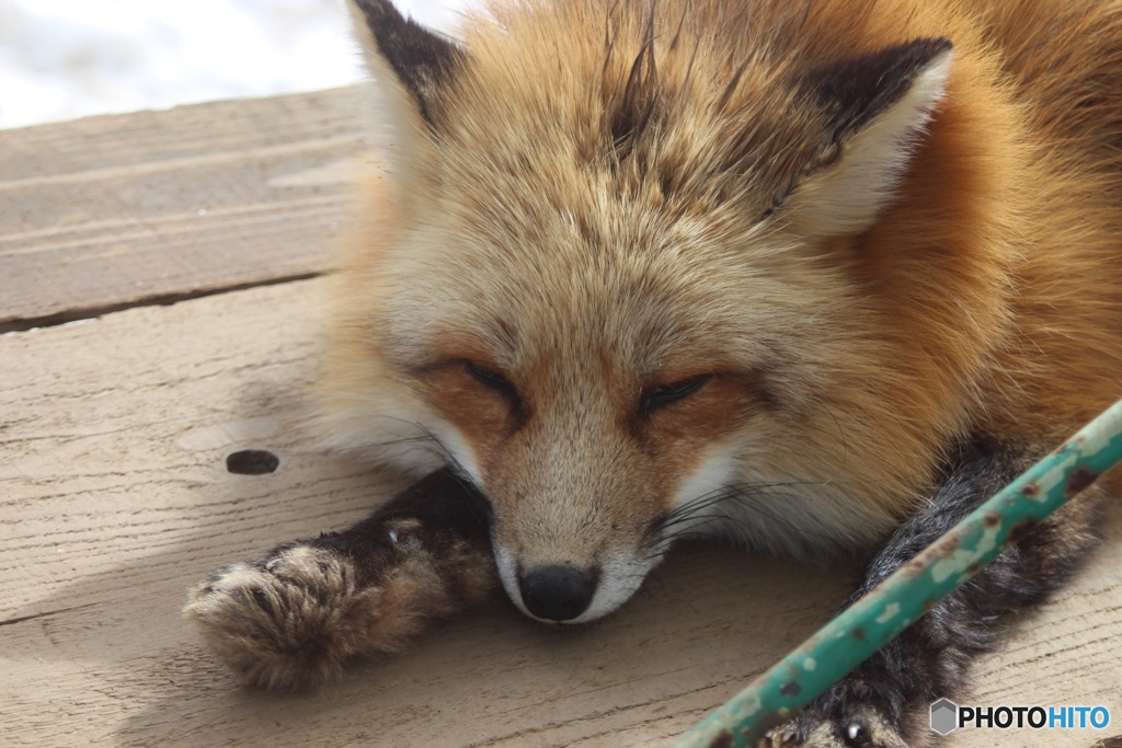 まだ眠い…