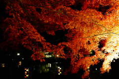 DSC09436
