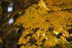 DSC09449