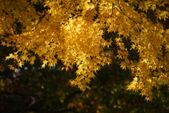 DSC09448