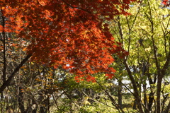 DSC09452