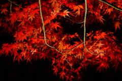 DSC09435