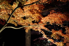 DSC09396