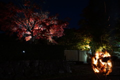 DSC09356