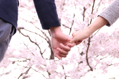 お花見デート