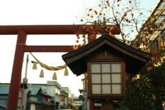 灯る前に