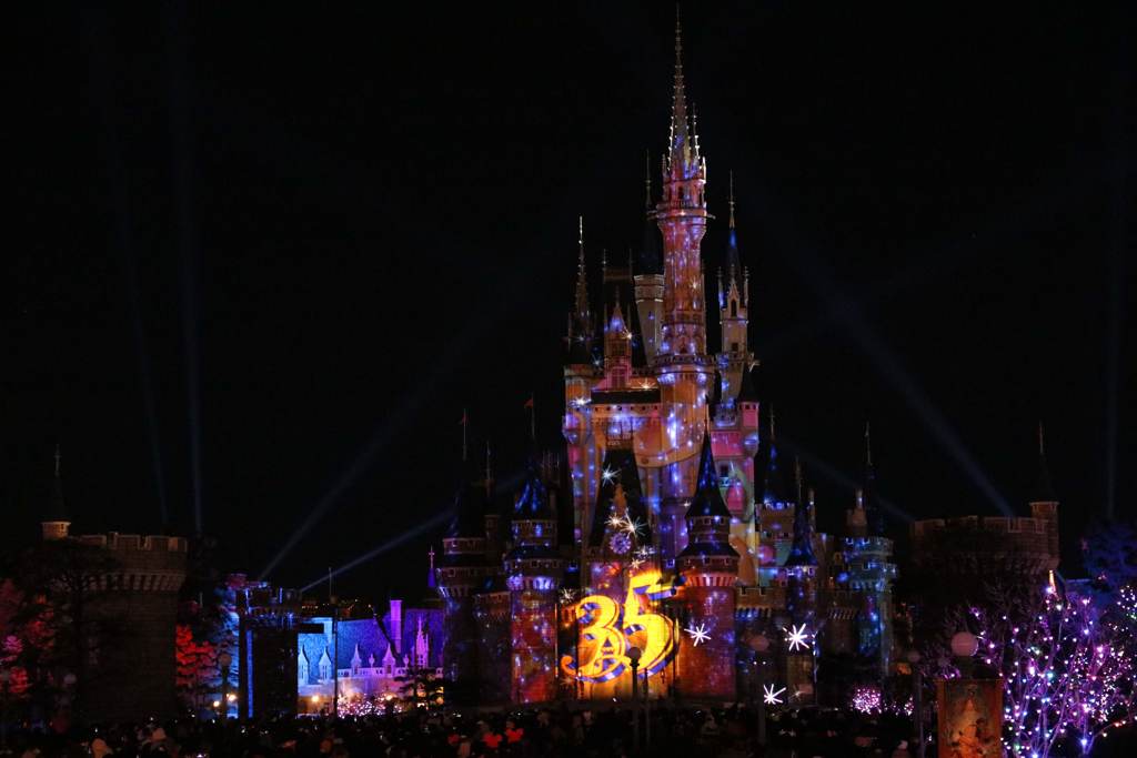 Celebrate! Tokyo Disneyland ③