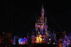 Celebrate! Tokyo Disneyland ③