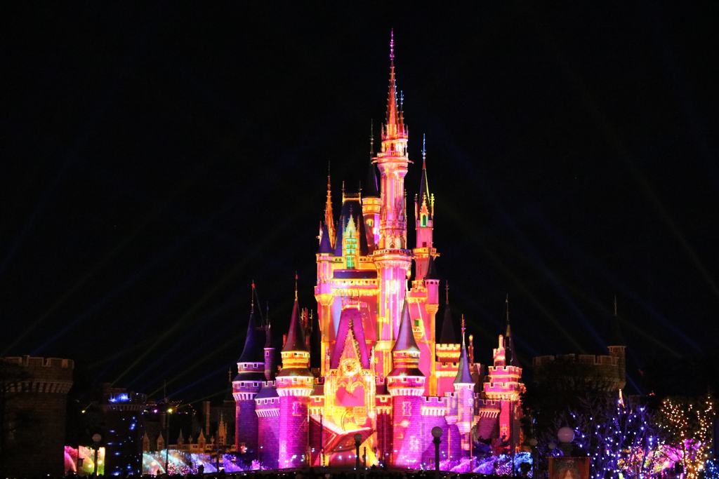 Celebrate! Tokyo Disneyland ⑤