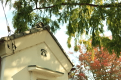 電話BOX