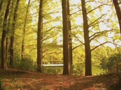 IMG180101-204654F