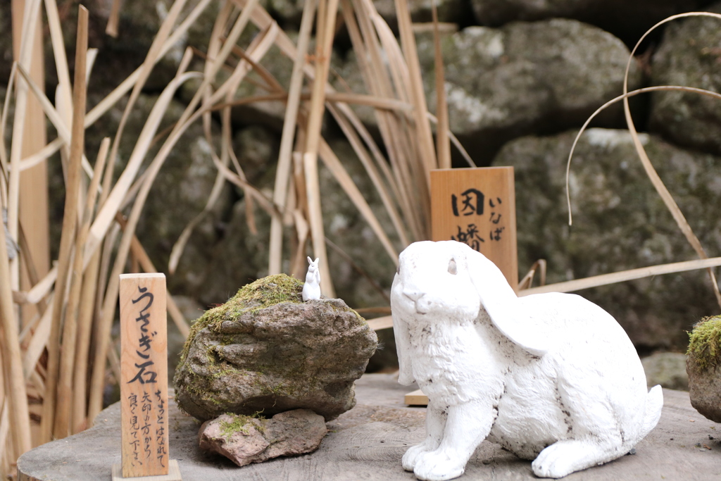 うさぎ石