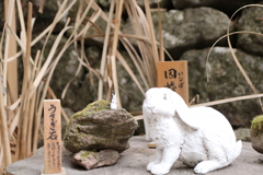うさぎ石