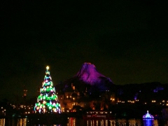 Color of Christmas