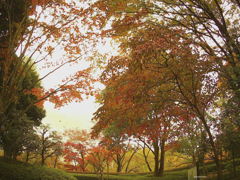 Fall