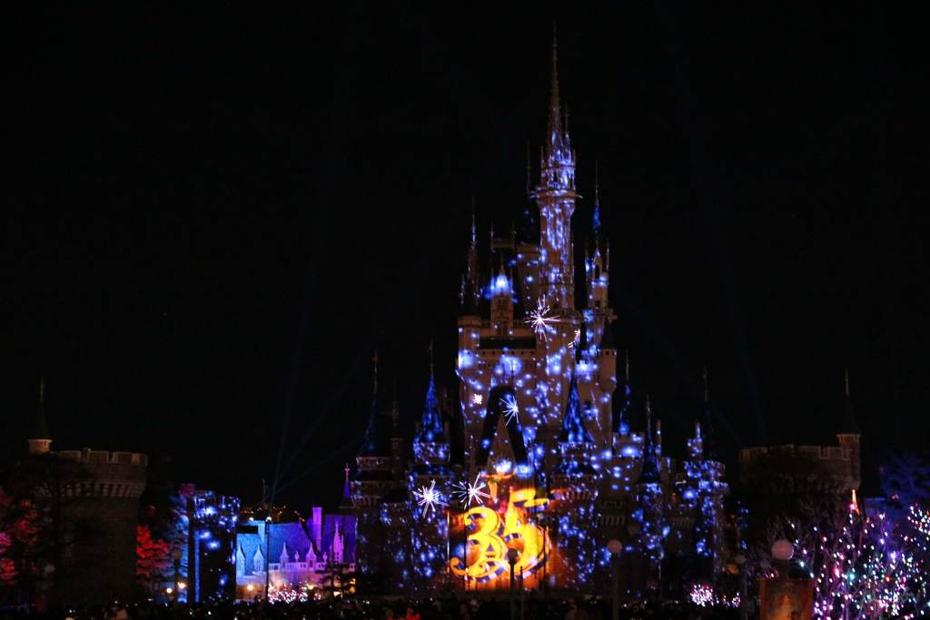 Celebrate! Tokyo Disneyland ④