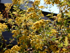 DSCN8378