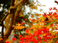 DSCN8458