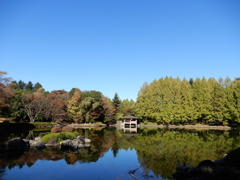 DSCN8384