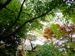 DSCN8462