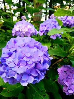 20180619_155823