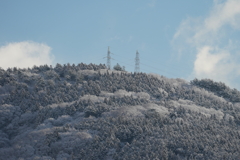 冬景色