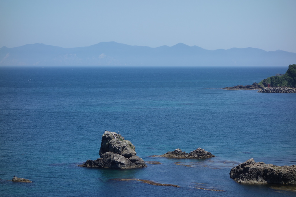 高野崎