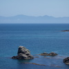 高野崎