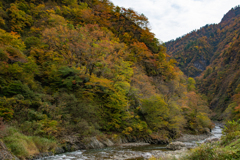 トンネルだけではない清津の美