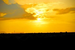 博多湾の夕日