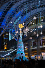 JR博多　クリスマスマーケーット②