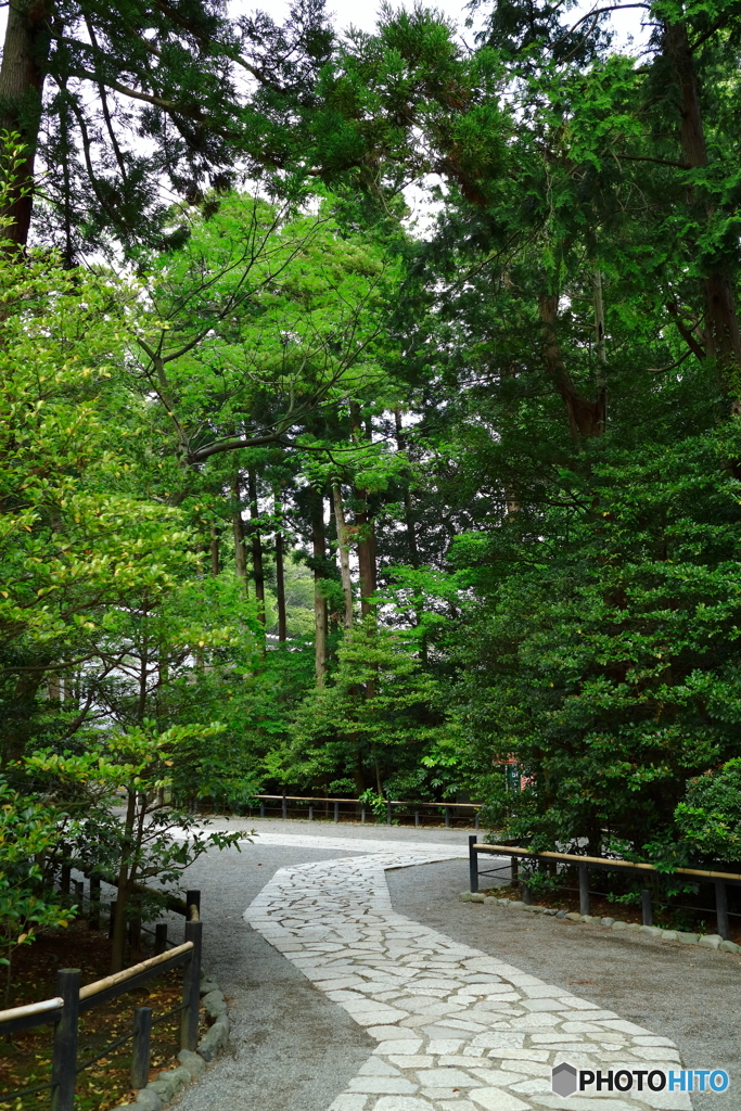 神社の細道