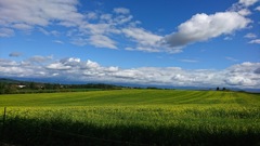 美瑛in北海道
