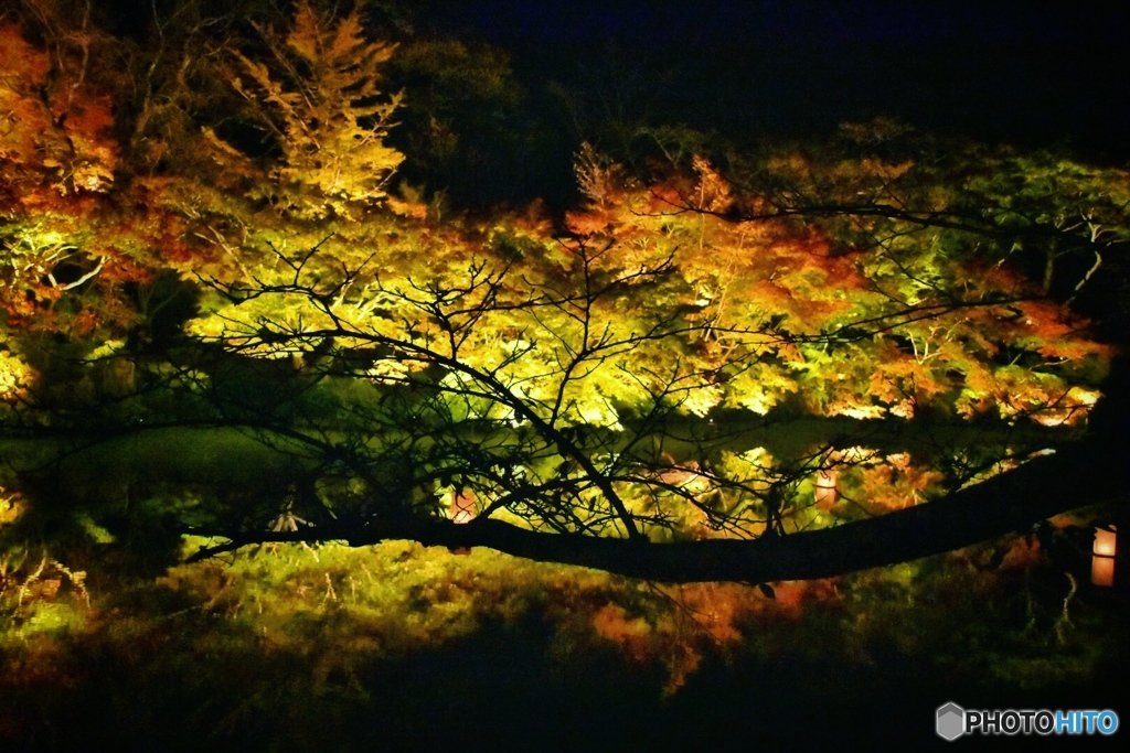 御船山楽園