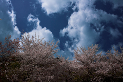 背後より迫りくる5月