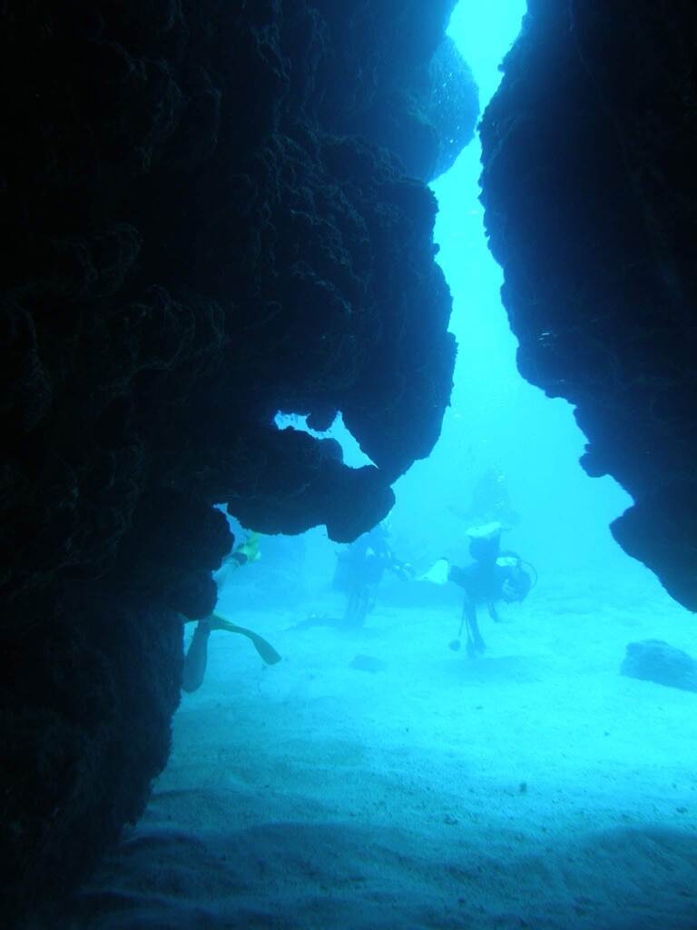 P1010266